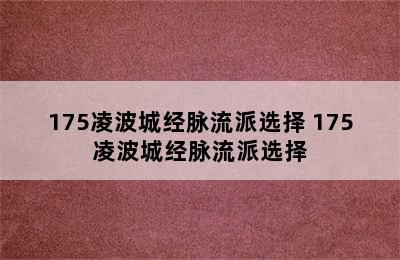 175凌波城经脉流派选择 175凌波城经脉流派选择